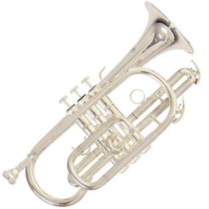 Корнети Зображення