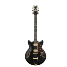 Гитара полуакустическая IBANEZ AMH90-BK Изображение