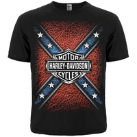 Футболка Harley-Davidson 