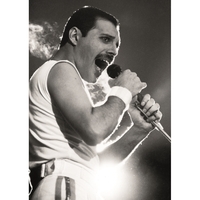 Постер Freddie Mercury Изображение
