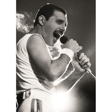 Постер Freddie Mercury Изображение