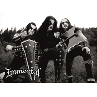 Постер Immortal Зображення