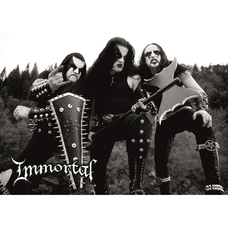 Постер Immortal Изображение