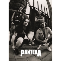 Постер Pantera Зображення