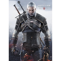 Плакат The Witcher 