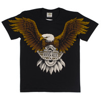 Футболка Rock Eagle Изображение