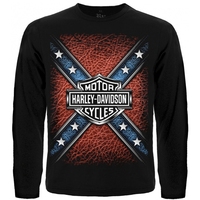 Футболка с длинным рукавом Harley-Davidson 