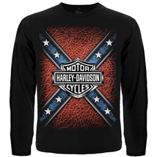 Футболка с длинным рукавом Harley-Davidson 