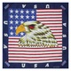 Бандана USA flag with eagle Изображение