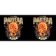 Чашка Pantera (Outlaw) Изображение