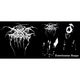 Чашка Darkthrone (Transilvanian Hunger) Изображение