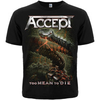 Футболка Accept 