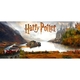 Чашка Harry Potter (Hogwarts) Изображение