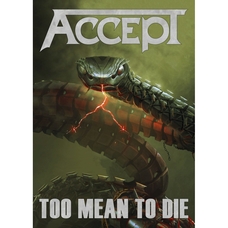 Плакат Accept 