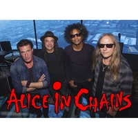 Плакат Alice in Chains (band) Изображение