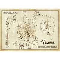 Плакат Fender Stratocaster (Design) Зображення