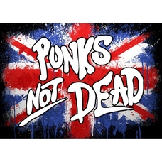 Плакат Punk’s Not Dead (Great Britain) Зображення