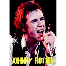 Плакат Sex Pistols (Johnny Rotten) Зображення