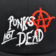 Бейсболка Punk’s Not Dead (anarchy) RW Изображение