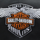 Бейсболка Harley-Davidson (since 1903) RW Зображення