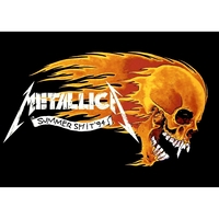Плакат Metallica (Summer Shit) Изображение