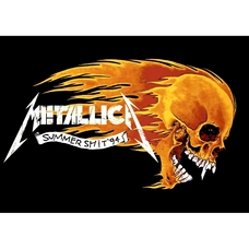 Плакат Metallica (Summer Shit) Зображення