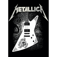 Плакат Metallica (Guitar) Зображення