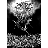 Плакат Darkthrone (Sardonic Wrath) Изображение