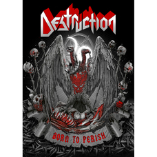 Плакат Destruction (Born To Perish) Зображення