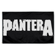 Прапор Pantera (logo) sfc-001 Зображення