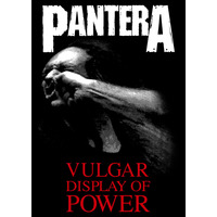 Плакат Pantera (Vulgar Display Of Power) Зображення