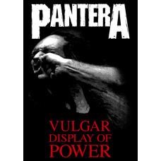 Плакат Pantera (Vulgar Display Of Power) Зображення