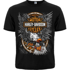 Футболка Harley-Davidson (eagle and logo HD) Изображение