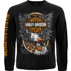 Футболка з довгим рукавом Harley-Davidson (eagle and logo HD) Зображення
