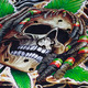 Футболка High Life (rasta skull) (3D, світиться в темряві) Зображення