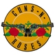 Нашивка термо Guns N’ Roses (yellow logo) наспинна (thps-025) Зображення
