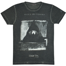 Футболка Alice in Chains 