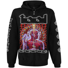 Худі Tool 