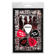 Подарунковий набір медіаторів HALESTORM - PORTRAIT (mol-037) Изображение