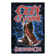 Прапор (текстильний постер) OZZY OSBOURNE - BLIZZARD OF OZZ (fol-021) Зображення
