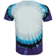 Футболка Liquid Blue Led Zeppelin - Swan Song (Tie-Dye) Изображение