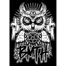 Плакат Bring Me The Horizon (Owl) Изображение
