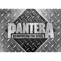 Плакат Pantera (Reinventing The Steel) Зображення