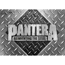 Плакат Pantera (Reinventing The Steel) Зображення