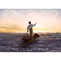 Плакат Pink Floyd (The Endless River) Изображение