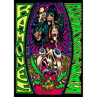 Плакат Ramones (Acid Eaters) Изображение