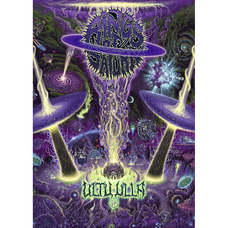 Плакат Rings Of Saturn (Ultu Ulla) Зображення