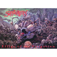 Плакат Suffocation (Effigy of the Forgotten) Изображение