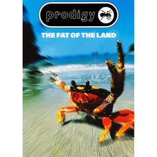 Плакат The Prodigy (The Fat Of The Land) Изображение