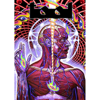 Плакат Tool (Lateralus) Зображення